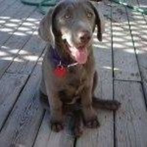 Meet your Posher, Gail